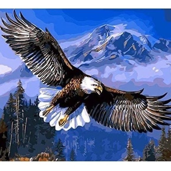 Other - Paint by Numbers / Landscape View Eagle Flying